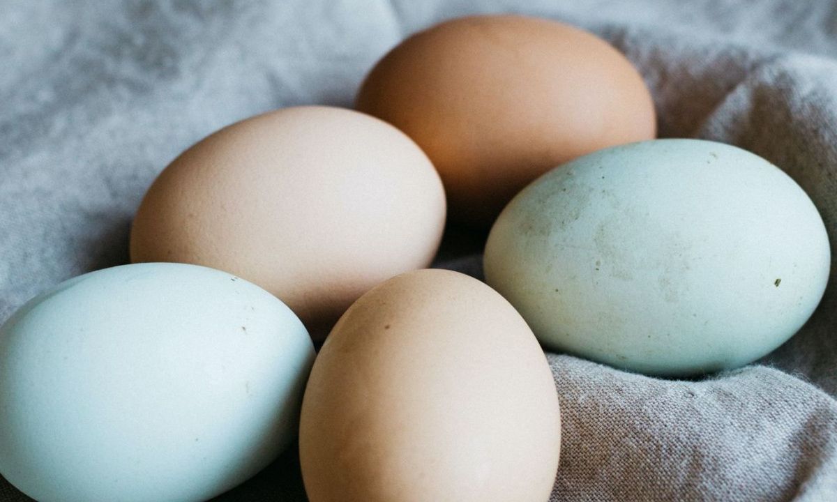 Πώς θα έρθουν τα αυγά από το ψυγείο σε θερμοκρασία δωματίου