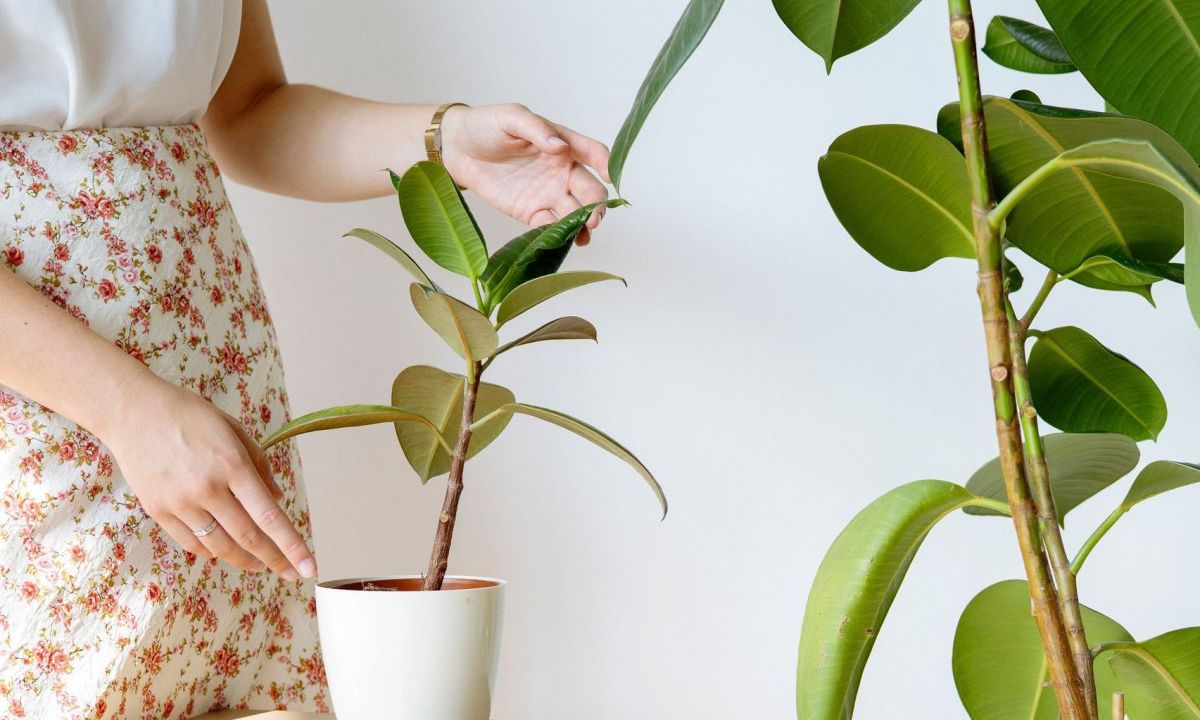 Πώς θα κάνεις δροσερό το σπίτι με 6 μυστικά διακόσμησης