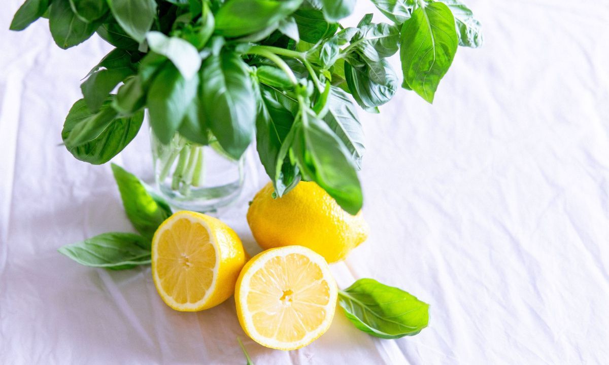 Πώς θα διατηρήσεις φρέσκα τα λεμόνια για καιρό – Ακόμα και τα κομμένα