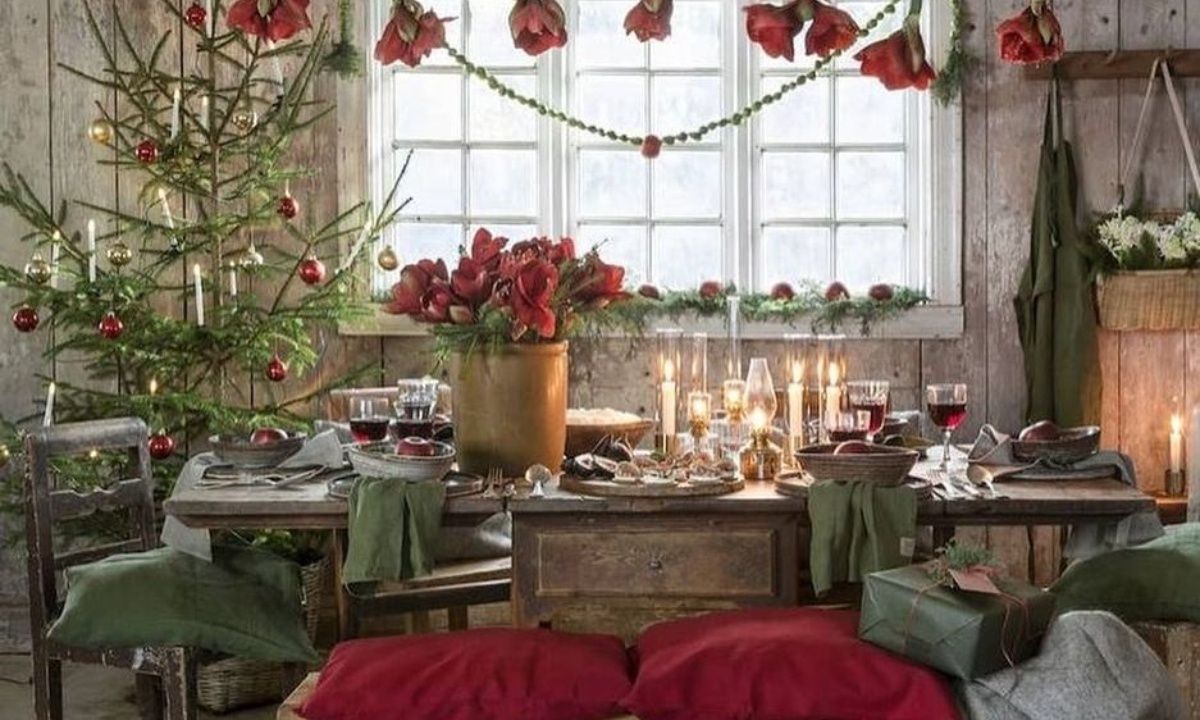 10 χριστουγεννιάτικα φυτά για δώρο στις επισκέψεις των γιορτών