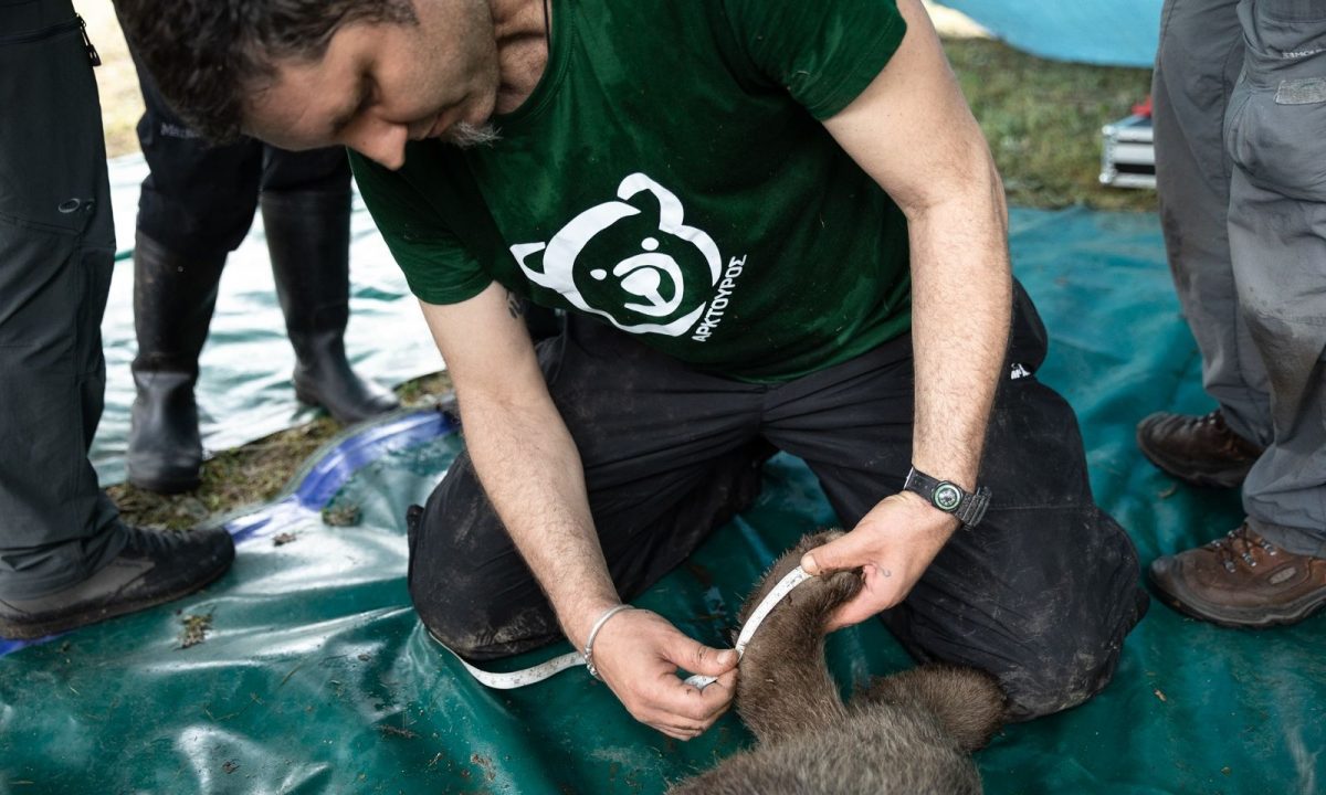 Το AQUA Carpatica στηρίζει το έργο του ΑΡΚΤΟΥΡΟΥ για 3η συνεχόμενη χρονιά