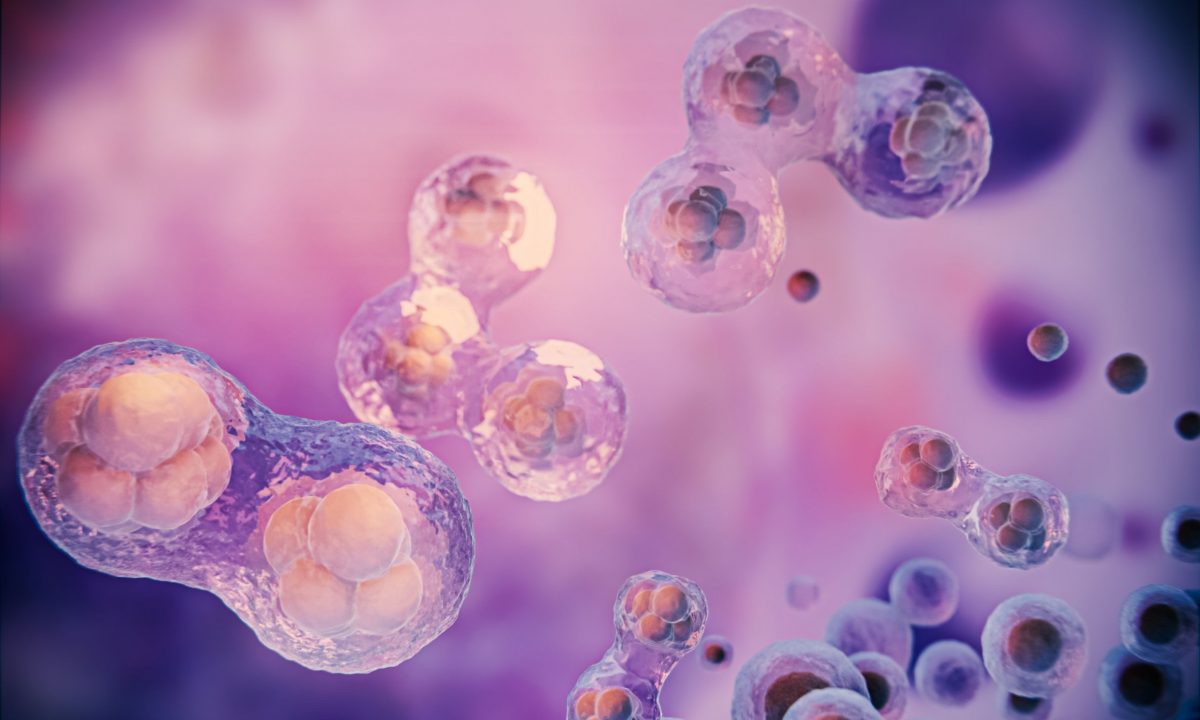 Αποβολή και Κύτταρα Φονείς (ΝΚ) - Νέα επιστημονική πρόταση με ελληνική υπογραφή