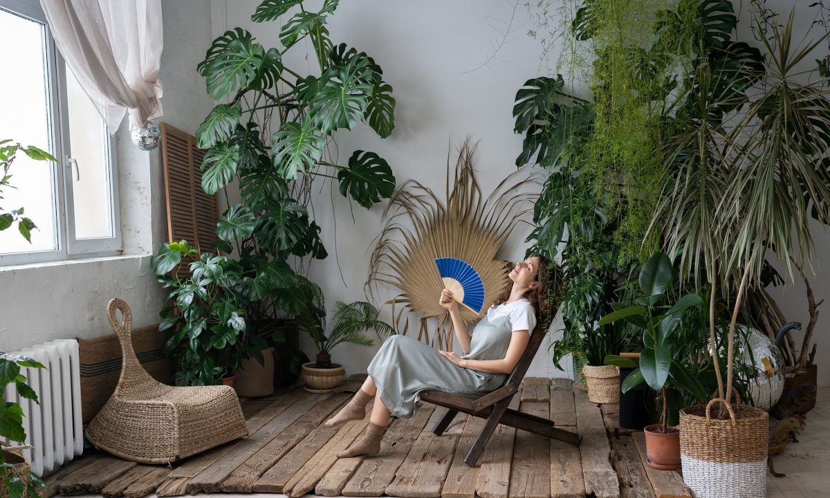 Tα 10 πιο συνηθισμένα προβλήματα των φυτών εσωτερικού χώρου και πώς να τα λύσετε