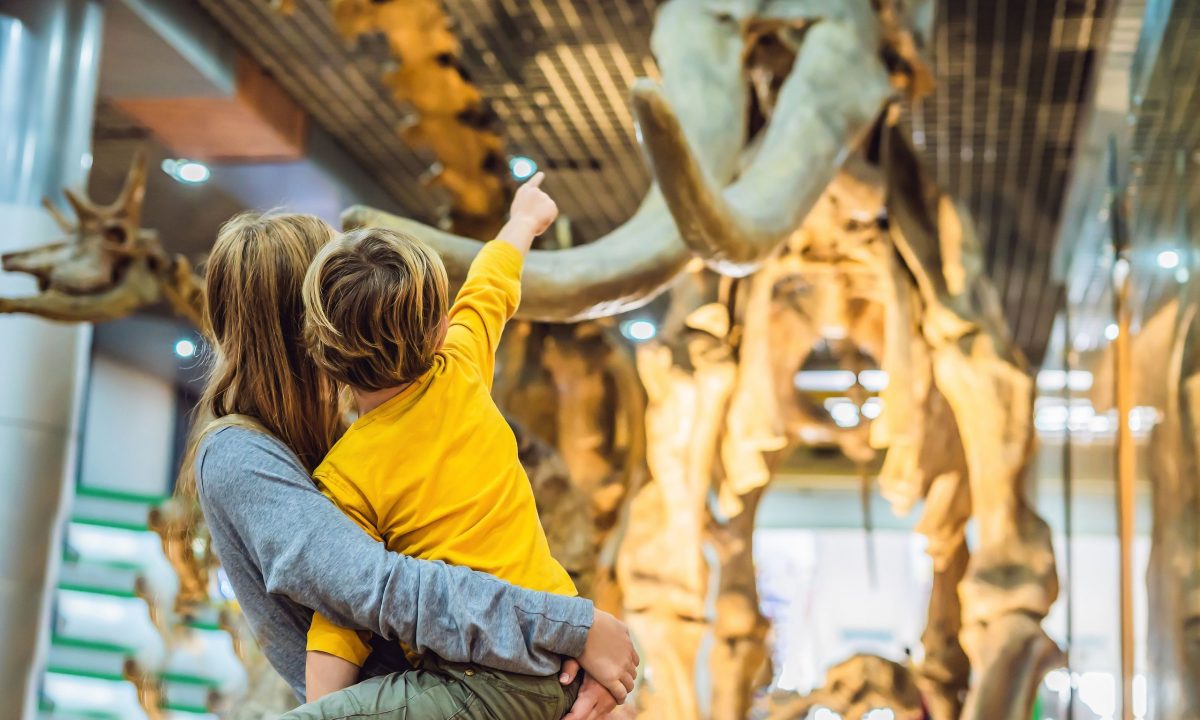 7 καλοί λόγοι για να επισκεφτείτε με το παιδί σας ένα μουσείο