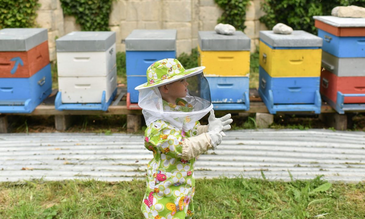 Πώς θα μάθετε στα παιδιά σας να προστατεύουν τις μέλισσες