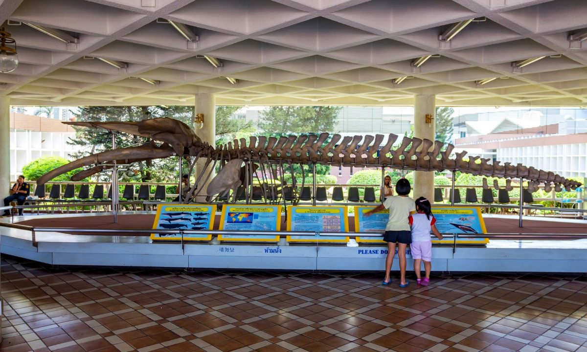 Διεθνής Ημέρα Μουσείων 2025: 6 προτάσεις για να περάσετε μια αξέχαστη μέρα με τα παιδιά σας