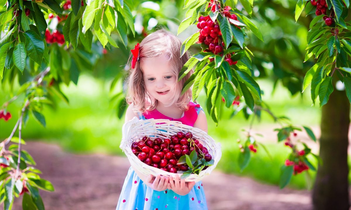 Πώς θα εντάξουμε τα φρούτα και τα λαχανικά του Ιουνίου στη διατροφή των παιδιών;