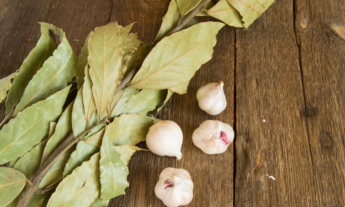 Πού να τοποθετήσετε φύλλα δάφνης ώστε να προσελκύσετε αφθονία, σύμφωνα με το Φενγκ Σούι