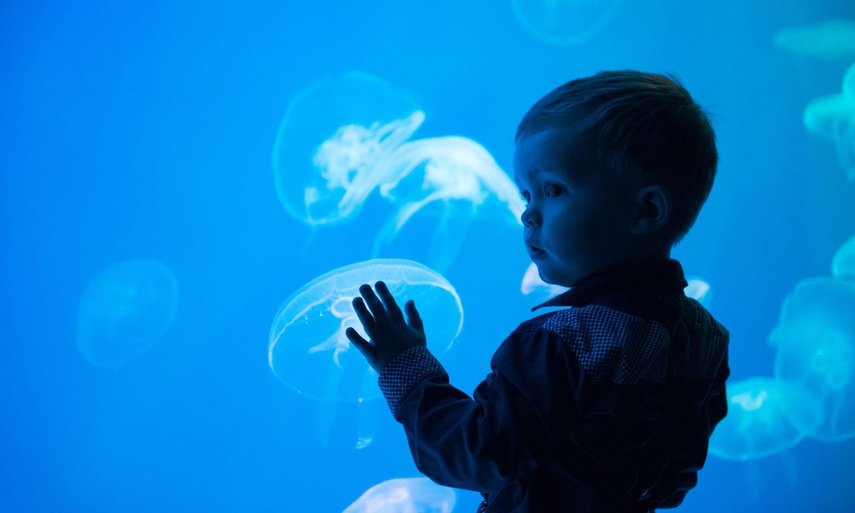 Τσίμπημα από τσούχτρα και παιδί: Τι πρέπει να κάνετε