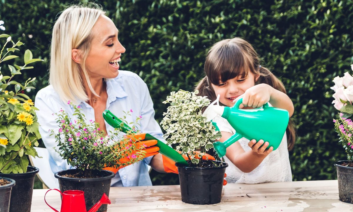 Είδατε τρύπες στα φύλλα των φυτών; Να τι πρέπει να κάνετε
