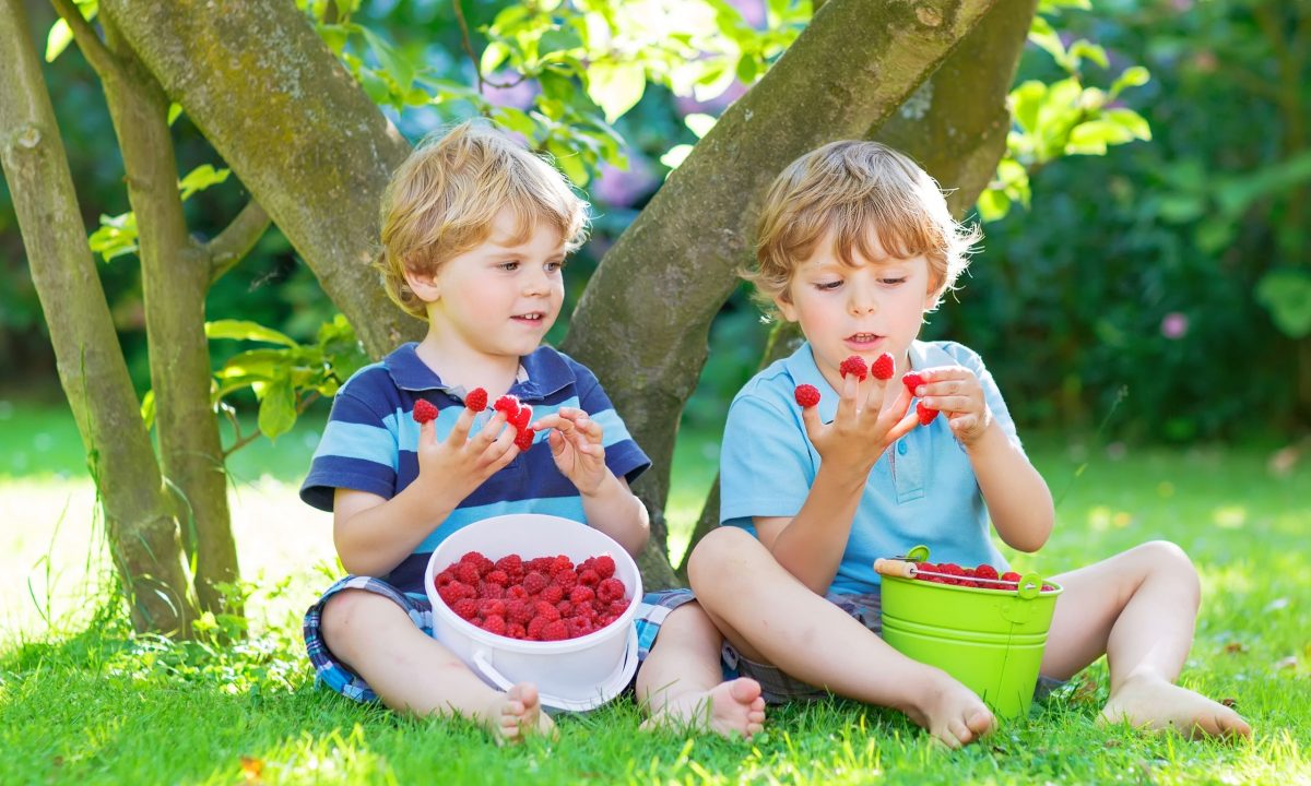 35 ιδέες για σνακ (περιλαμβάνει συνταγές για διαβήτη, κοιλιοκάκη και υγιεινή διατροφή)