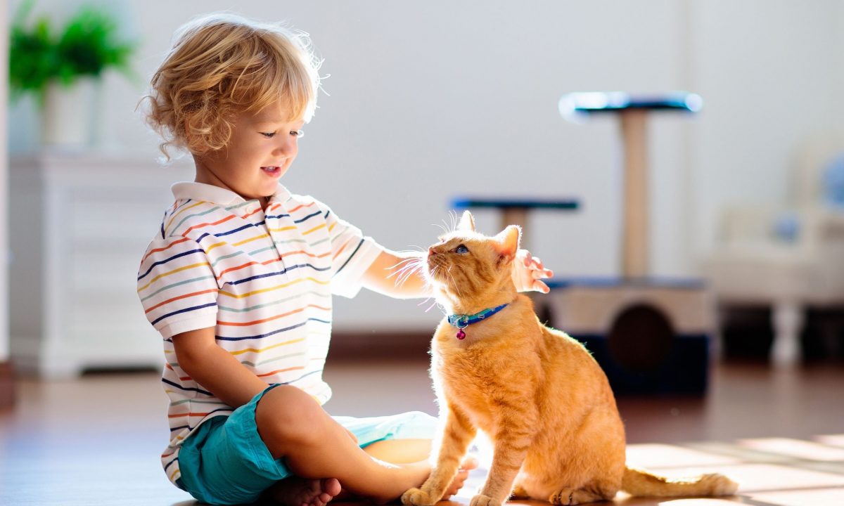 5 πράγματα που θα μάθει το παιδί σας μεγαλώνοντας με μια γάτα