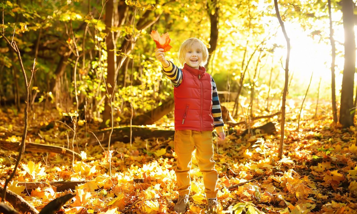 6 δραστηριότητες για να διδάξεις στο παιδί σου τα πάντα για το φθινόπωρο