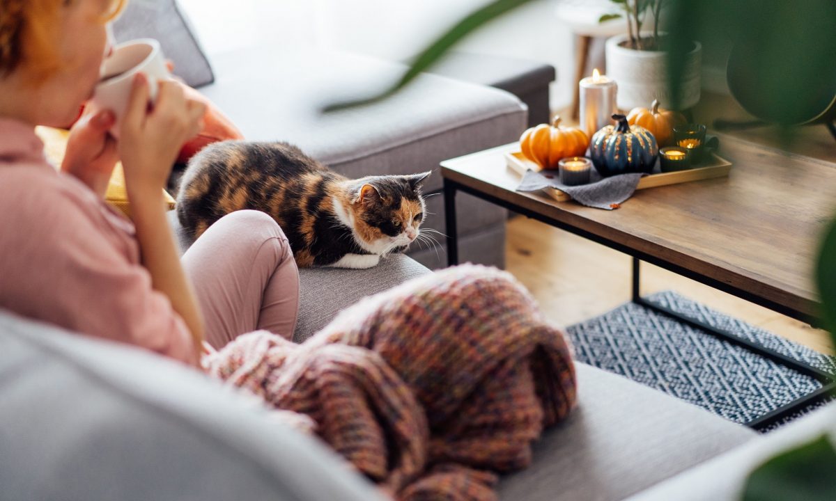 Halloween διακόσμηση που μπορείτε να κρατήσετε όλο το φθινόπωρο