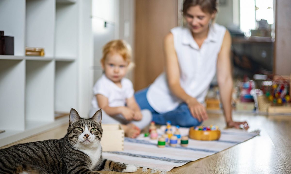 Μέθοδος Montessori - Τι να γνωρίζουν οι γονείς