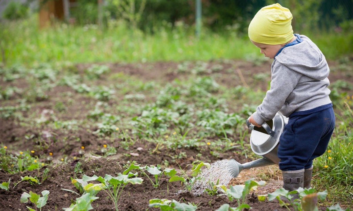 Το μικροβίωμα του βρέφους: To «αόρατο θεμέλιο» της ψυχικής υγείας