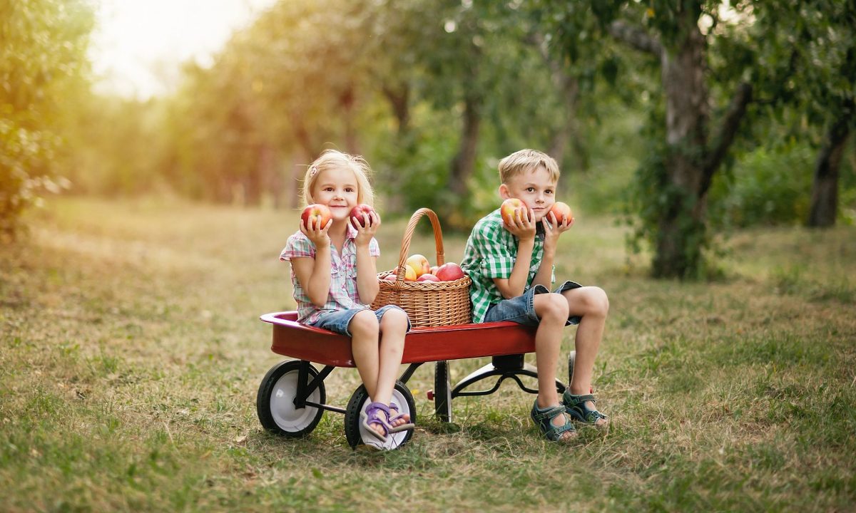 Πώς να κάνετε τα παιδιά σας να αγαπήσουν τη σωστή διατροφή;