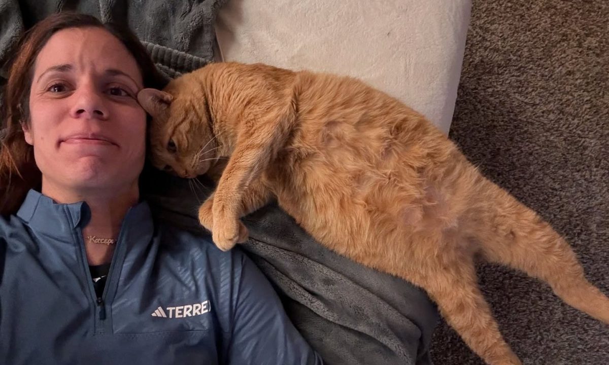 Η Κατερίνα Στεφανίδη δείχνει πώς μεγαλώνει μωρό… με μια γάτα που τα θέλει όλα δικά της