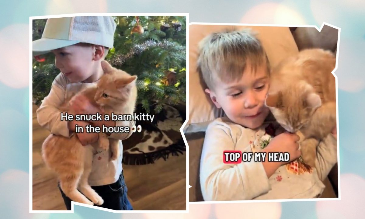 Έτσι είναι η ενσυναίσθηση όταν είσαι 2 ετών - Άμεση, ακατάστατη, γεμάτη πεποίθηση