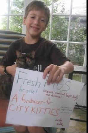 Ο 10χρονος που εδώ και 3 χρόνια δωρίζει το χαρτζιλίκι του στις γάτες!