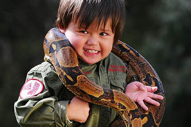 Ο 3χρονος που δαμάζει αλιγάτορες και βόες!