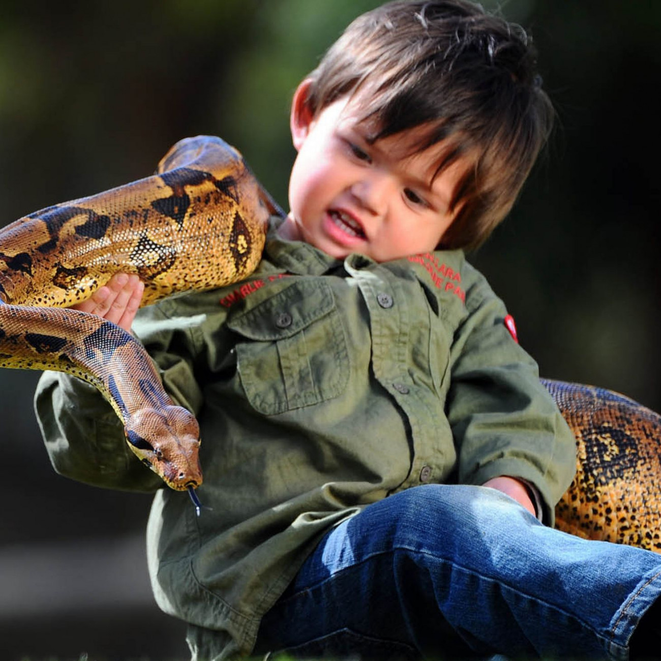 Ο 3χρονος που δαμάζει αλιγάτορες και βόες!