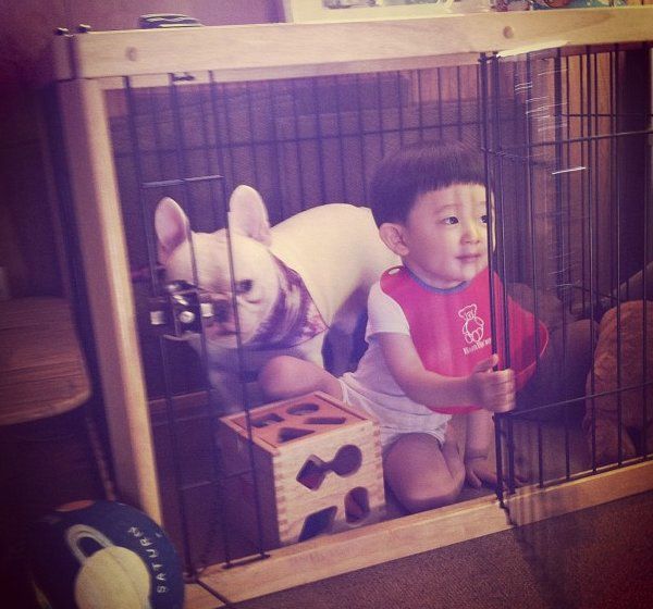 Η απίστευτη σχέση ενός μικρού αγοριού με το σκυλάκι του (εικόνες)