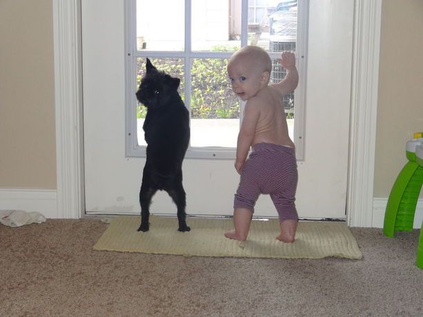 Η καλύτερη νταντά για τα παιδιά σας είναι… το κατοικίδιό σας! (φωτό)