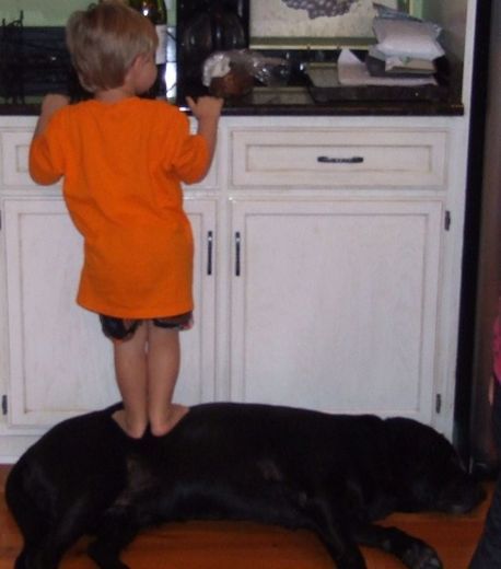 Η καλύτερη νταντά για τα παιδιά σας είναι… το κατοικίδιό σας! (φωτό)