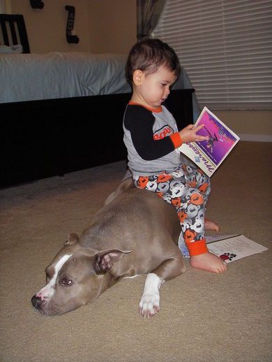 Η καλύτερη νταντά για τα παιδιά σας είναι… το κατοικίδιό σας! (φωτό)