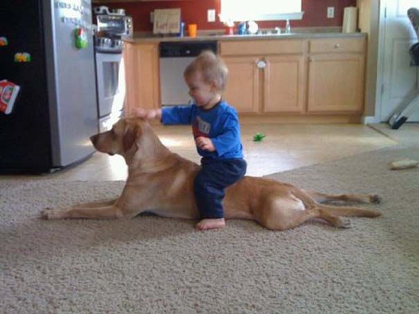 Η φιλία ενός μωρού με τον σκύλο του σε φωτογραφίες!