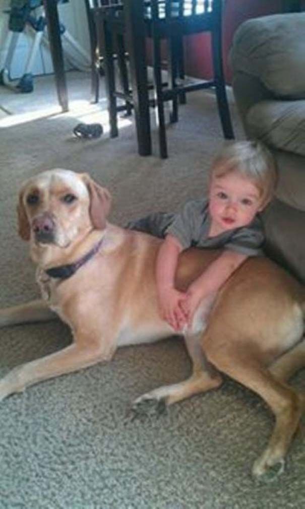 Η φιλία ενός μωρού με τον σκύλο του σε φωτογραφίες!
