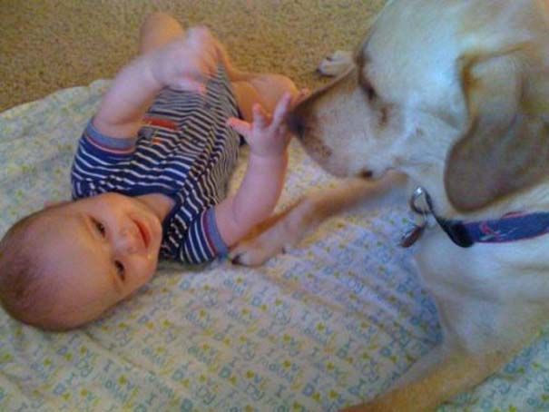 Η φιλία ενός μωρού με τον σκύλο του σε φωτογραφίες!