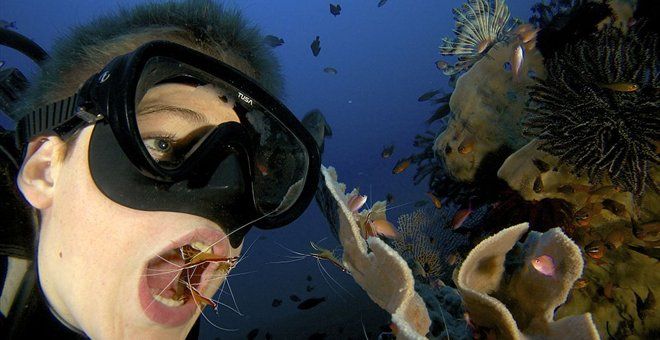 Απίστευτο: 13χρονο αγόρι καθαρίζει τα δόντια του στο βυθό με τη βοήθεια των γαρίδων!