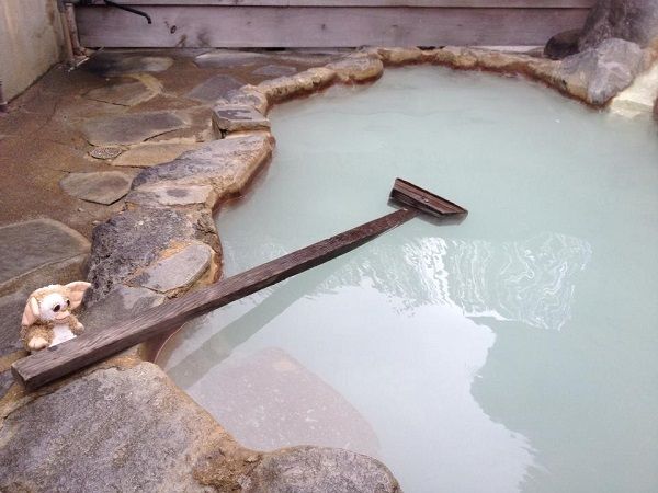 Κι όμως! Το είδαμε κι αυτό! Ταξιδιωτική εταιρεία στέλνει τα λούτρινα κουκλάκια... διακοπές!