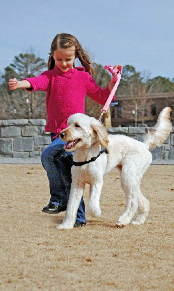 Η συγκινητική ιστορία ενός αξιολάτρευτου σκύλου που σώζει από αλλεργικό σοκ, ένα 7χρονο κορίτσι!