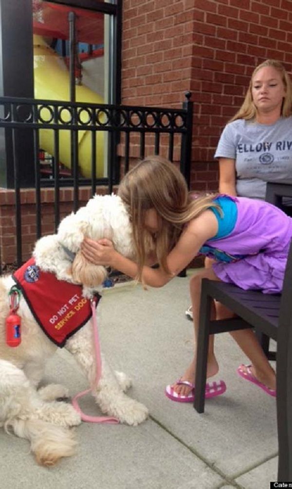 Η συγκινητική ιστορία ενός αξιολάτρευτου σκύλου που σώζει από αλλεργικό σοκ, ένα 7χρονο κορίτσι!