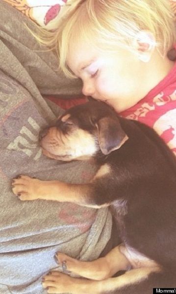 Ο ύπνος ενός παιδιού γίνεται μαγικός όταν έχει δίπλα του ένα κουτάβι! (φωτογραφίες)