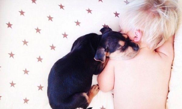 Ο ύπνος ενός παιδιού γίνεται μαγικός όταν έχει δίπλα του ένα κουτάβι! (φωτογραφίες)