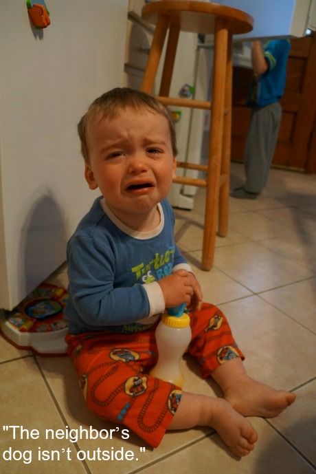 Οι καλύτερες φωτογραφίες - απαντήσεις στο ερώτημα «Μάντεψε γιατί κλαίει το παιδί μου»