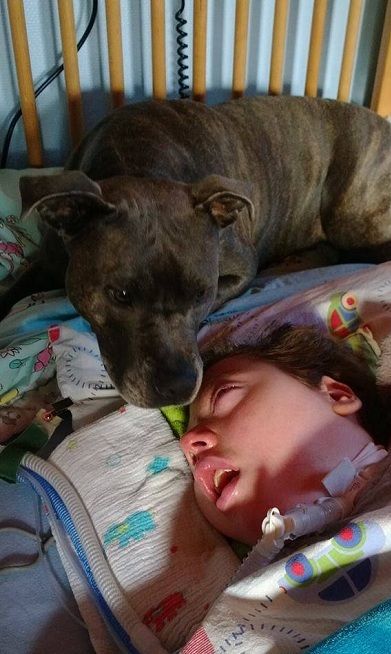 Αυτή η σχέση αγάπης κρατάει το 10χρονο αγοράκι στη ζωή! (εικόνες, βίντεο)