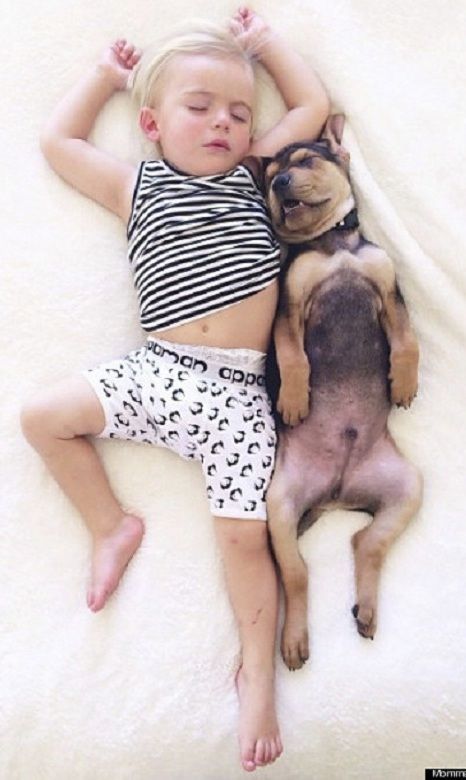 Το αγοράκι και το κουταβάκι που κοιμούνται πάντα παρέα, σε νέες περιπέτειες (εικόνες)