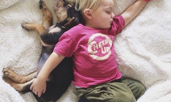 Το αγοράκι και το κουταβάκι που κοιμούνται πάντα παρέα, σε νέες περιπέτειες (εικόνες)