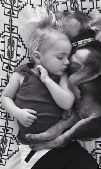 Το αγοράκι και το κουταβάκι που κοιμούνται πάντα παρέα, σε νέες περιπέτειες (εικόνες)