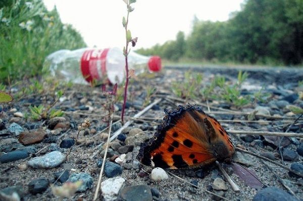 Ο πλανήτης Γη μέσα από τα μάτια των μικρών παιδιών - Ενα μοναδικό φωτογραφικό άλμπουμ