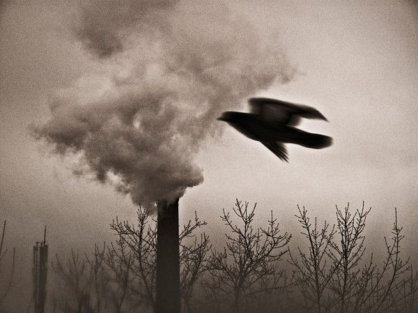 Ο πλανήτης Γη μέσα από τα μάτια των μικρών παιδιών - Ενα μοναδικό φωτογραφικό άλμπουμ