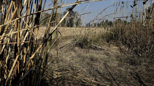 Δεκατριάχρονο κορίτσι έσκαψε και βγήκε από τον λάκο που την είχαν θάψει ζωντανή οι βιαστές της (εικόνα)