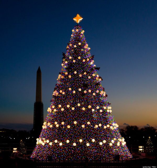 Τα 11 παραμυθένια χριστουγεννιάτικα δέντρα του κόσμου! (εικόνες)