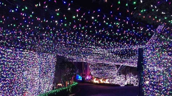 Αυτό είναι το πιο «υπέρλαμπρο» σπίτι που κατέκτησε το ρεκόρ Γκίνες! (εικόνες)