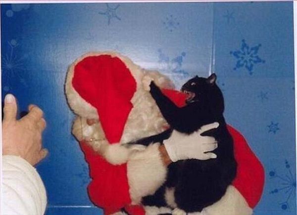 Κι όμως κάποιοι ανυπομονούν να τελειώσουν οι γιορτές! (φωτογραφίες)